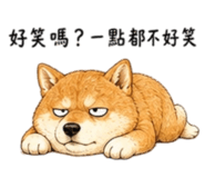 858538489