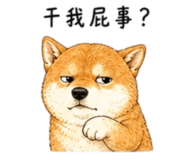 858538491