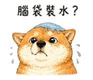 858538493
