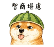 858538494