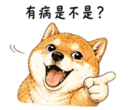 858538495