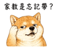 858538496