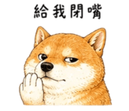 858538498