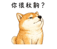 858538499