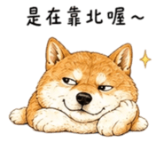 858538501