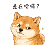 858538502