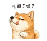 858538504
