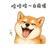 858538505