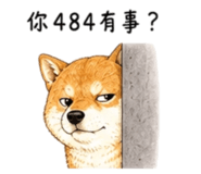 858538506
