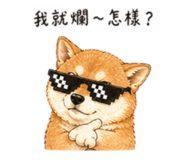 858538507