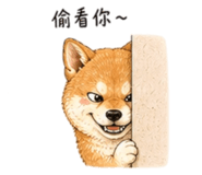 858538512