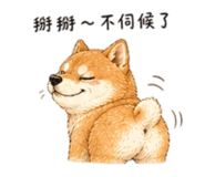 858538516