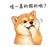 858538517