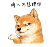 858538520
