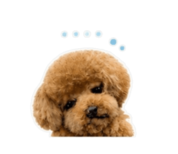 858539271