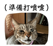 858541781