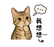 858541804