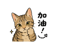 858541806