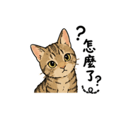 858541807