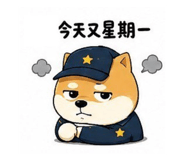 858542205