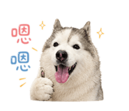 858542604