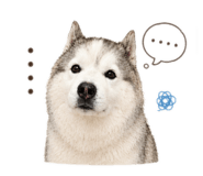 858542609