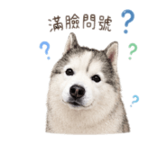 858542615