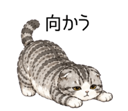 858545581