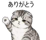 858545596