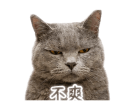 858546826