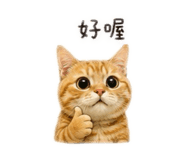 858550171