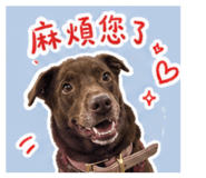858551325