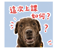 858551327