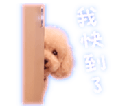 858551903