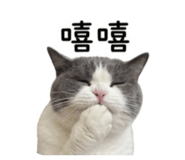 858552780