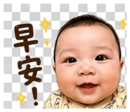 858554537