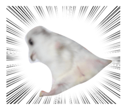 858557780