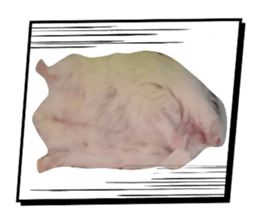 858557793