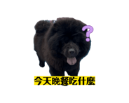 858558810