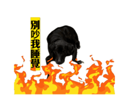 858558813
