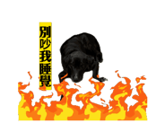 858558813