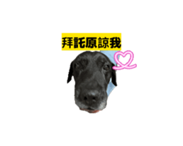 858558814