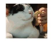 858558843