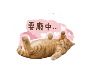 858560234