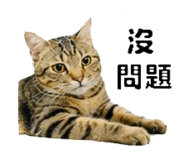 858560524