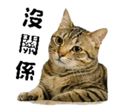 858560525