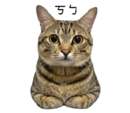 858560532