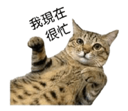 858560535