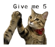 858560543