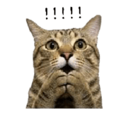 858560546